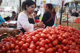 El retroceso en ventas tiene que ver con la cuota compensatoria que impuso, desde julio de 2025, el gobierno de Estados Unidos a este fruto mexicano por 17.09%.