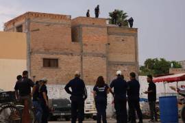 La pantera fue asegurada por la Profepa después de permanecer varios días en libertad en distintos sectores de Torreón, Coahuila, y Lerdo, Durango.