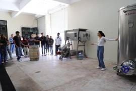 Los estudiantes de la Universidad de Parras participan en el cuidado y la cosecha de las vides de Touriga Nacional, aprendiendo sobre el proceso de vinificación de manera práctica.