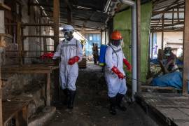 Trabajadores de salud desinfectan un mercado en Bunia, República Democrática del Congo, mientras el brote de ébola apenas comienza a organizarse y la ayuda internacional es limitada.