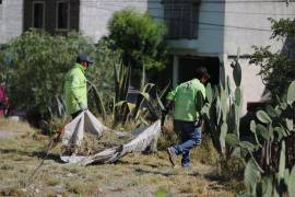 Personal del programa “Aquí Andamos” realizó trabajos de deshierbe y mantenimiento en áreas verdes para mejorar la imagen urbana y prevenir focos de infección.
