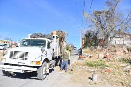 Maquinaria pesada y personal municipal trabajan juntos para renovar el arroyo y su entorno.