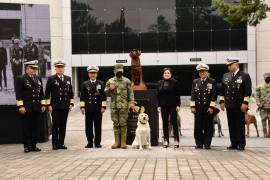 La Secretaría de Marina informó del primer homenaje en conmemoración de ‘Frida’ la perrita rescatista que falleció el 15 de noviembre del 2022. FOTO: CORTESÍA