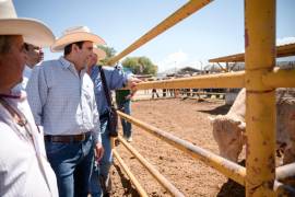 El alcalde Javier Díaz González durante el arranque del Programa de Mejoramiento Genético y Suplemento Ganadero 2025.