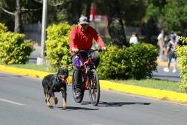 Algunas personas acudieron a la Ruta Recreativa acompañadas de sus mascotas y aprovecharon el circuito para ejercitarse.