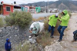 Las labores incluyen riego, poda baja del arbolado y mantenimiento de mallas ciclónicas perimetrales.