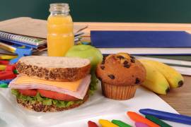La variedad de colores y la separación de alimentos en la lonchera aumentan el interés de los niños por comer saludable.