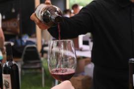 Parras se consolida como la joya del vino de México en la Gran Vendimia