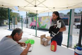 Jornadas veterinarias recorren colonias de distintos sectores.