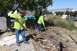 Autoridades exhortan a la ciudadanía a no arrojar desechos en los arroyos, ya que afectan la salud y provocan taponamientos y proliferación de fauna nociva.