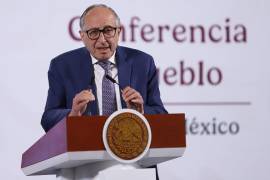 En la conferencia matutina desde Palacio Nacional el funcionario presentó los detalles de la campaña | Foto: Cuartoscuro