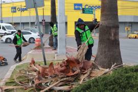 Los trabajos en el bulevar Francisco Coss abarcan el tramo de Isidro López Zertuche a Paseo de la Reforma y se replican en otros puntos de la ciudad.