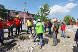 Personal del Gobierno de Saltillo y H-E-B participó en la reforestación de una plaza de Colinas del Sur.
