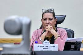 La Cámara de Diputados deberá activar el procedimiento para nombrar a una nueva persona titular del organismo electoral, mientras el Consejo General garantiza la continuidad de sus funciones.