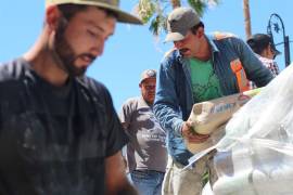 Entrega de cemento permitirá a muchas familias avanzar en reparaciones pendientes.