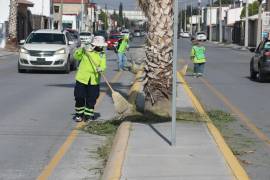 Personal de “Aquí Andamos” intervino plazas y áreas verdes del fraccionamiento Hacienda Narro.