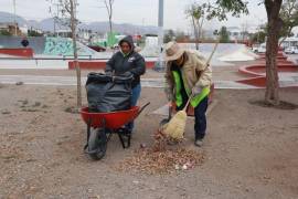 El Gobierno de Saltillo intervino áreas verdes y arbolado en plazas de diferentes colonias para mejorar la imagen urbana y la calidad del entorno.