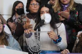 En honor a María Elena Ríos, la saxofonista oaxaqueña atacada con ácido en 2019 y víctima de tentativa de feminicidio por un exdiputado local del PRI, fue propuesta la ley.