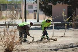 Brigadas municipales realizaron limpieza en plazas de ejidos.