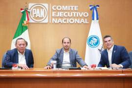 Los líderes nacionales de PAN, PRI y PRD desestiman enérgicamente las acusaciones del presidente López Obrador sobre un presunto fraude electoral.