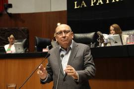 El legislador expone su postura durante sesión del órgano legislativo federal.