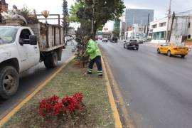 Las acciones buscan reforzar la seguridad, prevenir riesgos sanitarios y mejorar la calidad de vida de los habitantes.