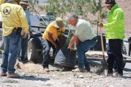 Personal municipal de Saltillo realizó labores de reforestación en el camellón central del bulevar Franz Zabroky Wrobel como parte del programa “Bosques urbanos lineales.