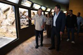 Noche de Museos permite recorrer espacios culturales en horarios extendidos.