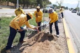 Brigadas realizan labores de limpieza y mantenimiento en vialidades como parte del programa de empleo temporal en Saltillo.