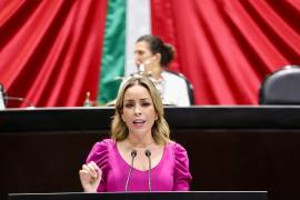 La diputada Verónica Martínez presentó la iniciativa desde la tribuna del Palacio de San Lázaro.