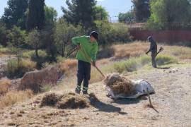 La limpieza se llevó a cabo en esta área de la colonia Vista Hermosa para prevenir plagas y riesgos a la salud de los vecinos.