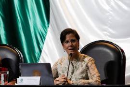 Alsalem sostuvo que la subrogación “explota a las mujeres” y las somete a coerción.