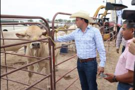 Coahuila destaca por la calidad en la carne que produce, posicionádose entre las entidades líderes.