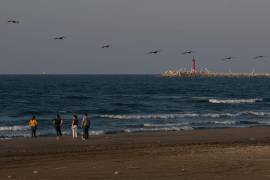 En redes sociales se han destacado fotografías y videos donde se evidencian los contaminantes en el agua de las playas de Veracruz