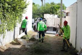 Las cuadrillas realizaron deshierbe, retiro de maleza, limpieza y recolección de desechos acumulados.