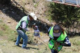 Las brigadas municipales, con apoyo de maquinaria pesada, intervienen 34 puntos estratégicos de la ciudad.