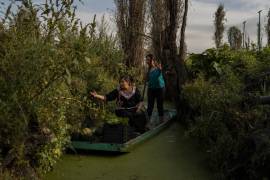 Jasmín Ordóñez y Cassandra Garduño reman en una barca en la chinampa de Garduño, una granja insular construida por los aztecas hace miles de años, en San Gregorio Atlapulco, un municipio de Ciudad de México.