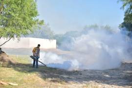 Con el fin de prevenir casos de Dengue, Ecología, Salud y sociedad iniciaron un programa de fumigación y descacharrización.