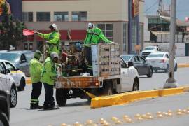 Los trabajos se realizaron en LEA entre la calzada Antonio Narro y el bulevar Emilio Arizpe de la Maza.