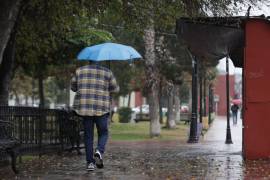 El ingreso del frente frío número 30, asociado a la tercera tormenta invernal, podría provocar temperaturas cercanas a los 0 grados al inicio de la próxima semana.