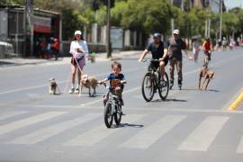 Decenas de familias, niñas, niños y jóvenes participaron en el tradicional intercambio de estampitas.