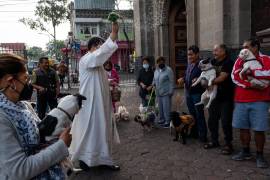 Fieles acudieron a la Parroquia de Nuestra Señora de San Juan de los Lagos, en la alcaldía Venustiano Carranza, para bendecir a sus mascotas con motivo de la celebración de San Antonio Abad.