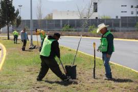 Las cuadrillas del programa “Aquí Andamos” trabajan en el bulevar Luis Donaldo Colosio, entre Fundadores y Venustiano Carranza.