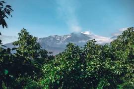 Con cada erupción, localidades como Giarre experimentan un promedio de 12.000 toneladas de ceniza al día.