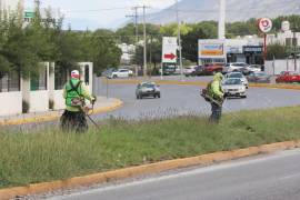 Personal municipal intervino el camellón central del bulevar Emilio Arizpe de la Maza.