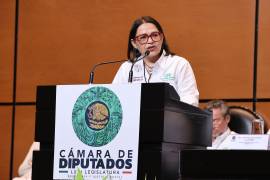 La directora general de la CFE, Emilia Esther Calleja Alor, compareció ante la Comisión de Energía de la Cámara de Diputados, donde defendió la transparencia del proceso de adjudicación de contratos de carbón.