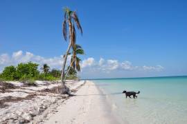 Profepa clausura proyecto hotelero en Holbox