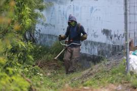 El Gobierno Municipal de Saltillo informó el retiro de alrededor de 600 toneladas de basura en arroyos y vialidades, como parte de las acciones para prevenir inundaciones y mejorar el flujo de cauces naturales en la ciudad.