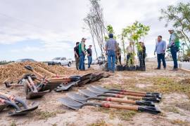Voluntarios y autoridades participaron en la reforestación del bulevar Técnico Milenio.