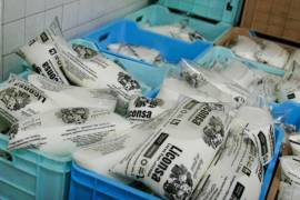 La Auditoría Superior de la Federación detectó pagos a productores que no cumplían con los requisitos para recibir el precio de garantía, recursos entregados después de la muerte de proveedores y operaciones de leche cuya recolección no pudo ser acreditada.